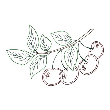 Elle çizim tarzında şirin çilek çizimi. Beyaz arka planda kiraz ikonu. Renk çizgisi. Kartpostallar, el ilanları, afişler için tasarım. Simge, işaret, etiket, iğne, logo