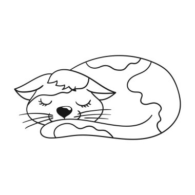 Elle çizim tarzında sevimli bir hayvan çizimi. Tek renkli olsun. Beyaz arka planda kedi simgesi. Boyama kitapları, çocuk eğitim oyunları için tasarlandı. Simge, imza, etiket