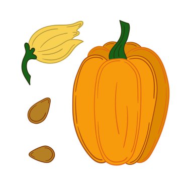 Beyaz arkaplanda balkabağı simgesi. Sevimli sebze çizim stili. Kartpostallar, el ilanları, afişler için tasarım. Simge, imza, çıkartma, iğne