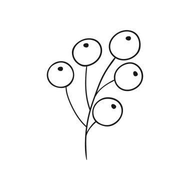 Beyaz arka planda Holly simgesi. Elle çizim tarzında şirin çilek çizimi. Tek renkli olsun. Boyama kitapları, çocuk eğitim oyunları için tasarlandı. Simge, imzala