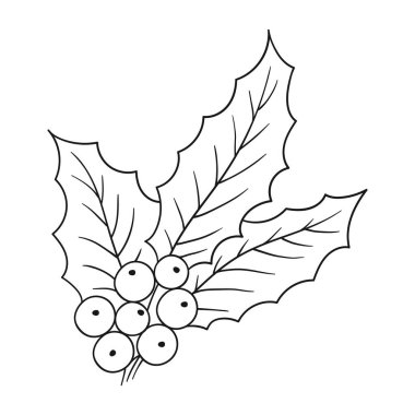 Beyaz arka planda Holly simgesi. Elle çizim tarzında şirin çilek çizimi. Tek renkli olsun. Boyama kitapları, çocuk eğitim oyunları için tasarlandı. Simge, işaret, etiket, iğne, logo