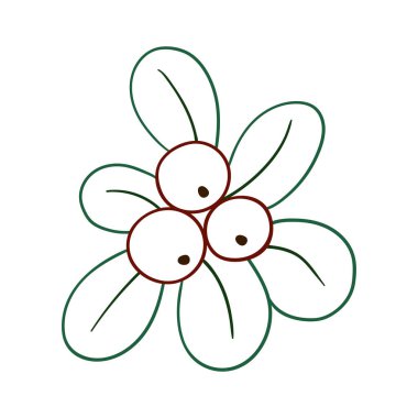 Beyaz arka planda Holly simgesi. Elle çizim tarzında şirin çilek çizimi. Renk çizgisi. Boyama kitapları ve çocuk eğitim oyunları için tasarım