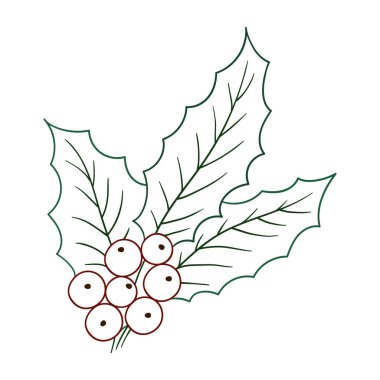 Beyaz arka planda Holly simgesi. Elle çizim tarzında şirin çilek çizimi. Renk çizgisi. Boyama kitapları, çocuk eğitim oyunları için tasarlandı. Simge, işaret, etiket, iğne, logo