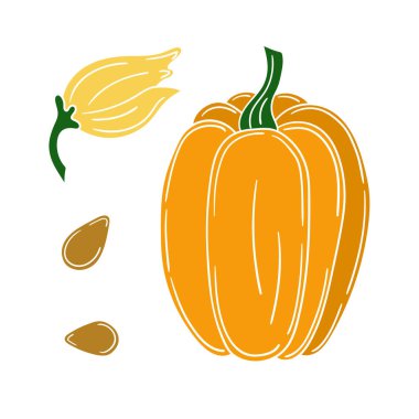 Sevimli sebze çizim stili. Beyaz taslak. Beyaz arkaplanda kabak simgesi