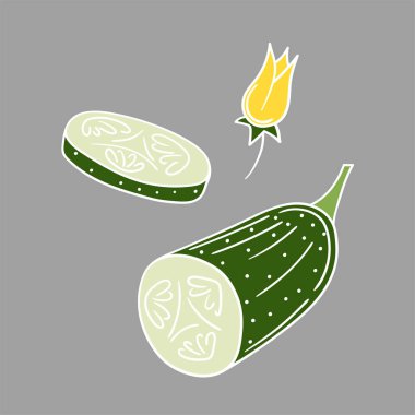 Sevimli sebze çizim stili. Beyaz taslak. Gri arka planda salatalık. Kartpostallar, el ilanları, afişler için tasarım. Simge, imza, çıkartma, iğne