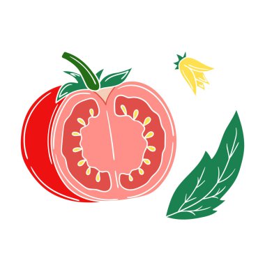 Sevimli sebze çizim stili. Beyaz arkaplanda domates ikonu. Beyaz taslak. Kartpostallar, el ilanları, afişler için tasarım. Simge, imzala
