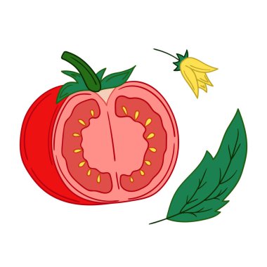 Sevimli sebze çizim stili. Beyaz arkaplanda domates ikonu. Kartpostallar, el ilanları, afişler için tasarım. Simge, imzala