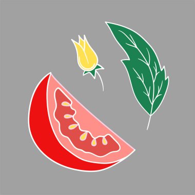 Sevimli sebze çizim stili. Gri arkaplanda domates ikonu. Beyaz özet