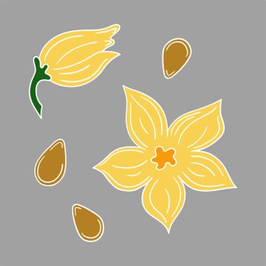 Sevimli sebze çizim stili. Gri arkaplanda balkabağı tohumu ikonu. Beyaz taslak. Kartpostallar, el ilanları, afişler için tasarım. Simge, imza, etiket