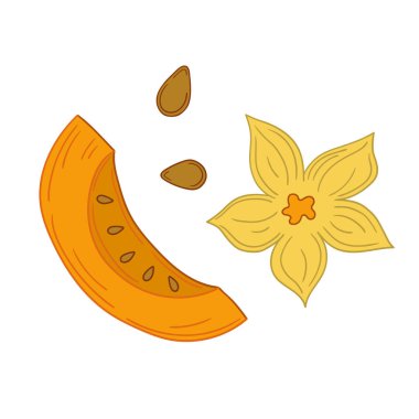Sevimli sebze çizim stili. Beyaz arkaplanda kabak simgesi