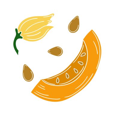 Sevimli sebze çizim stili. Beyaz arkaplanda balkabağı simgesi. Beyaz taslak. Kartpostallar, el ilanları için tasarım