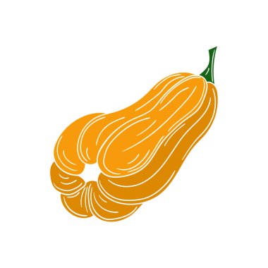 Sevimli sebze çizim stili. Beyaz arkaplanda balkabağı simgesi. Beyaz taslak. Kartpostallar, el ilanları, afişler için tasarım