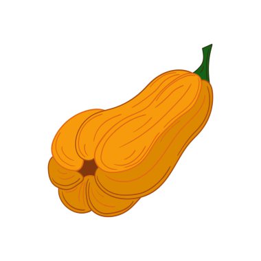 Sevimli sebze çizim stili. Beyaz arkaplanda balkabağı simgesi. Kartpostallar, el ilanları, afişler için tasarım