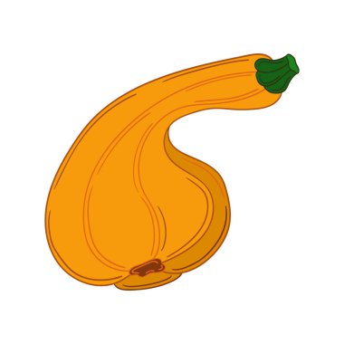 Sevimli sebze çizim stili. Beyaz arkaplanda balkabağı simgesi. Kartpostallar, el ilanları, afişler için tasarım. Simge, imza, etiket