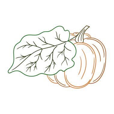 Sevimli sebze çizim stili. Beyaz arkaplanda balkabağı simgesi. Renk çizgisi. Kartpostallar, el ilanları için tasarım