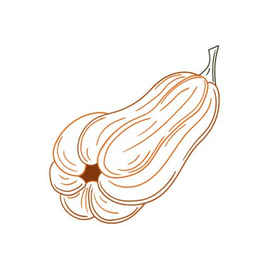 Sevimli sebze çizim stili. Beyaz arkaplanda balkabağı simgesi. Renk çizgisi. Kartpostallar, el ilanları, afişler için tasarım