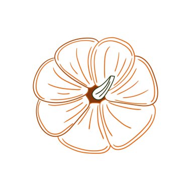 Sevimli sebze çizim stili. Beyaz arkaplanda balkabağı simgesi. Renk çizgisi. Kartpostallar, el ilanları, afişler için tasarım. Simge