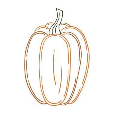 Sevimli sebze çizim stili. Beyaz arkaplanda balkabağı simgesi. Renk çizgisi. Kartpostallar, el ilanları, afişler için tasarım. Simge, işaret, etiket, iğne, logo