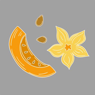 Sevimli sebze çizim stili. Gri arkaplanda balkabağı simgesi. Beyaz taslak. Kartpostallar, el ilanları, afişler için tasarım