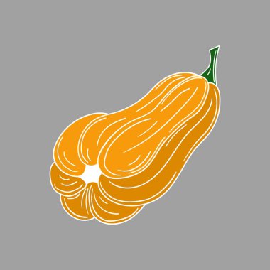 Sevimli sebze çizim stili. Gri arkaplanda balkabağı simgesi. Beyaz taslak. Kartpostallar, el ilanları, afişler için tasarım. Simge, imza, çıkartma, iğne