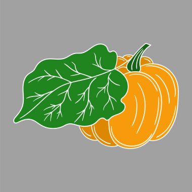 Sevimli sebze çizim stili. Gri arkaplanda balkabağı simgesi. Beyaz taslak. Kartpostallar, el ilanları, afişler için tasarım. Simge, imza, etiket