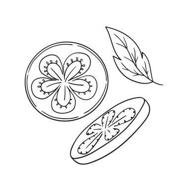 Sevimli sebze çizim stili. Tek renkli olsun. Beyaz arkaplanda domates ikonu. Boyama kitapları için tasarım, oyun