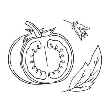 Sevimli sebze çizim stili. Tek renkli olsun. Beyaz arkaplanda domates ikonu. Boyama kitapları, çocuk eğitim oyunları için tasarlandı. Simge, imzala