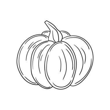 Sevimli sebze çizim stili. Tek renkli olsun. Beyaz arkaplanda balkabağı simgesi. Boyama kitabı için tasarım