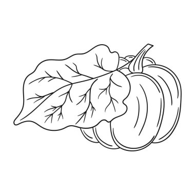 Sevimli sebze çizim stili. Tek renkli olsun. Beyaz arkaplanda balkabağı simgesi. Boyama kitapları ve çocuk eğitim oyunu için tasarım