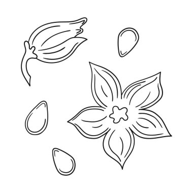 Sevimli sebze çizim stili. Tek renkli olsun. Beyaz arkaplanda balkabağı çiçeği ikonu. Boyama kitapları, çocuk eğitim oyunları için tasarlandı. Simge, imzala