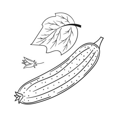 Sevimli sebze çizim stili. Tek renkli olsun. Beyaz arkaplanda salatalık simgesi. Boyama kitapları ve oyunlar için tasarım