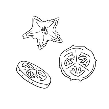 Sevimli sebze çizim stili. Tek renkli olsun. Beyaz arkaplanda salatalık simgesi. Boyama kitapları ve çocuk eğitim oyunları için tasarım