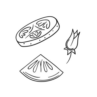 Sevimli sebze çizim stili. Tek renkli olsun. Beyaz arkaplanda salatalık simgesi. Boyama kitapları, çocuk eğitim oyunları için tasarlandı. Simge, işaret, etiket, iğne, logo