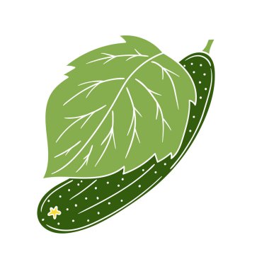 Sevimli sebze çizim stili. Beyaz arka planda salatalık. Beyaz taslak. Kartpostallar, el ilanları, afişler için tasarım. Simge, imza, çıkartma, iğne