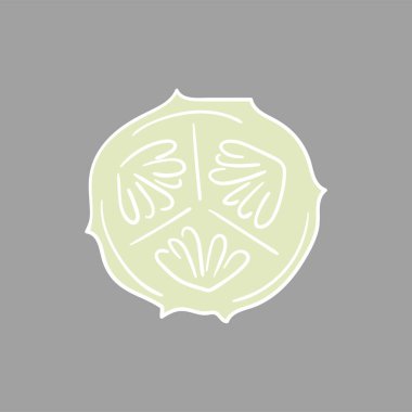 Sevimli sebze çizim stili. Gri arka planda salatalık. Beyaz taslak. Tasarım