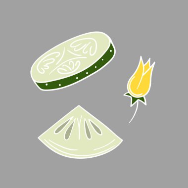 Sevimli sebze çizim stili. Gri arka planda salatalık. Beyaz taslak. Kartpostallar, el ilanları, afişler için tasarım. Simge, işaret, etiket, iğne, logo