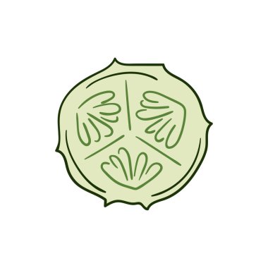 Sevimli sebze çizim stili. Beyaz arkaplanda salatalık simgesi. Tasarım