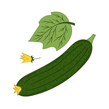 Sevimli sebze çizim stili. Beyaz arkaplanda salatalık simgesi. Kartpostallar için tasarım