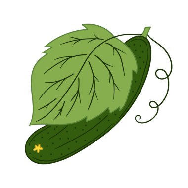 Sevimli sebze çizim stili. Beyaz arkaplanda salatalık simgesi. Kartpostallar, el ilanları, afişler için tasarım. Simge, imza, çıkartma, iğne