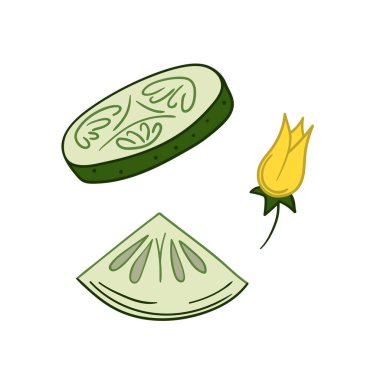 Sevimli sebze çizim stili. Beyaz arkaplanda salatalık simgesi. Kartpostallar, el ilanları, afişler için tasarım. Simge, işaret, etiket, iğne, logo