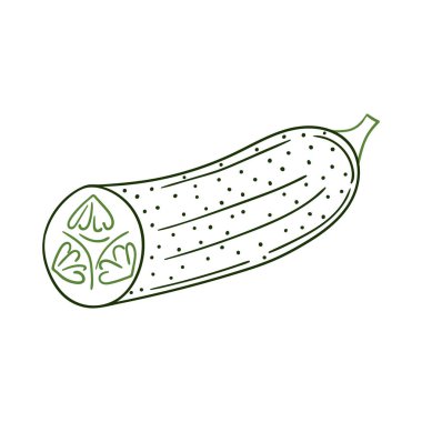 Sevimli sebze çizim stili. Beyaz arkaplanda salatalık simgesi. Renk çizgisi