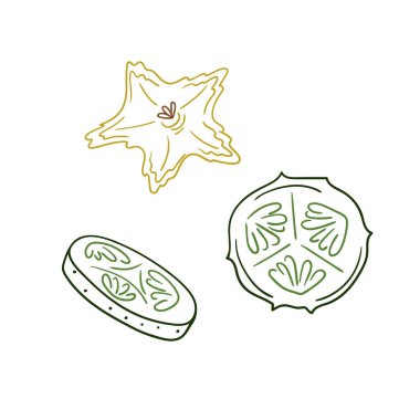 Sevimli sebze çizim stili. Beyaz arkaplanda salatalık simgesi. Renk çizgisi. Kartpostallar, el ilanları, afişler için tasarım