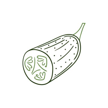 Sevimli sebze çizim stili. Beyaz arkaplanda salatalık simgesi. Renk çizgisi. Kartpostallar, el ilanları, afişler için tasarım. Simge, imza, etiket