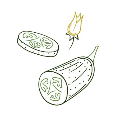 Sevimli sebze çizim stili. Renk çizgisi. Beyaz arkaplanda salatalık simgesi. Kartpostallar, el ilanları, afişler için tasarım. Simge, işaret, etiket, iğne, logo