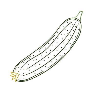 Sevimli sebze çizim stili. Renk çizgisi. Beyaz arkaplanda salatalık simgesi. Kartpostallar, el ilanları, afişler için tasarım. Simge, imza, etiket