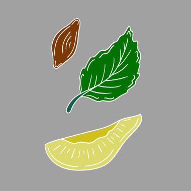 Sevimli meyve çizimi tarzı. Beyaz taslak. Gri arka planda erik. Kartpostallar, el ilanları, afişler için tasarım. Simge, işaret, etiket, iğne, logo