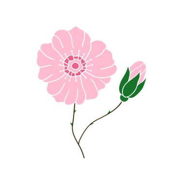 Sevimli çiçek çizimi tarzı. Beyaz arkaplanda Rosehip simgesi. Beyaz taslak. Kartpostallar, el ilanları, afişler için tasarım. Simge, işaret, etiket, iğne, logo