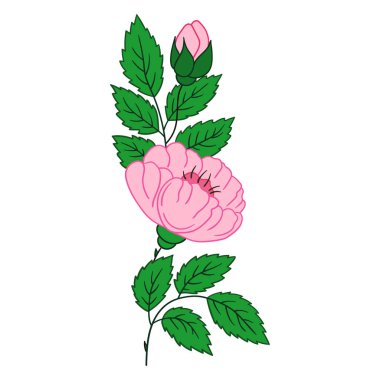 Sevimli çiçek çizimi tarzı. Beyaz arkaplanda Rosehip simgesi. Kartpostallar, el ilanları, afişler için tasarım. Simge, imza, çıkartma, iğne