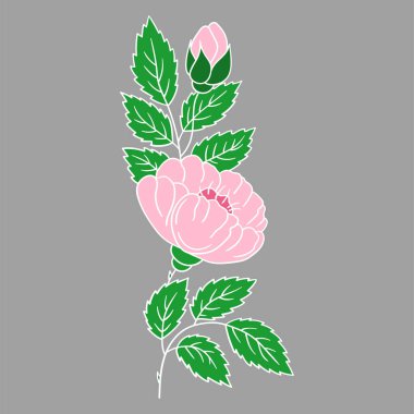 Sevimli çiçek çizimi tarzı. Gri bir arka planda Rosehip ikonu. Beyaz taslak. Kartpostallar, el ilanları, afişler için tasarım. Simge, imza, etiket