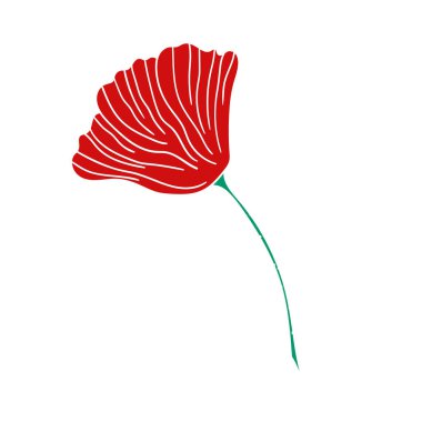 Sevimli çiçek çizimi tarzı. Beyaz arkaplanda gelincik simgesi. Beyaz taslak. Tasarım